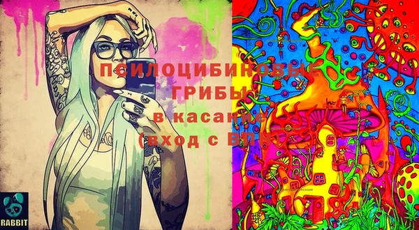 apvp Каменногорск