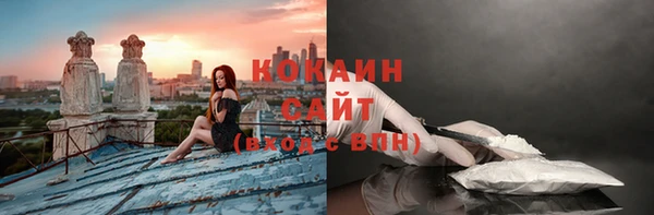 apvp Каменногорск