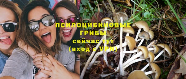 твердый Каменка
