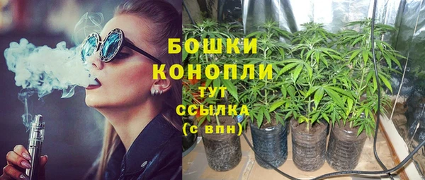 apvp Каменногорск