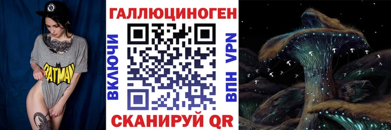 Галлюциногенные грибы GOLDEN TEACHER  Купить где  Чернушка 