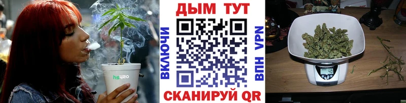 Канабис OG Kush Чернушка
